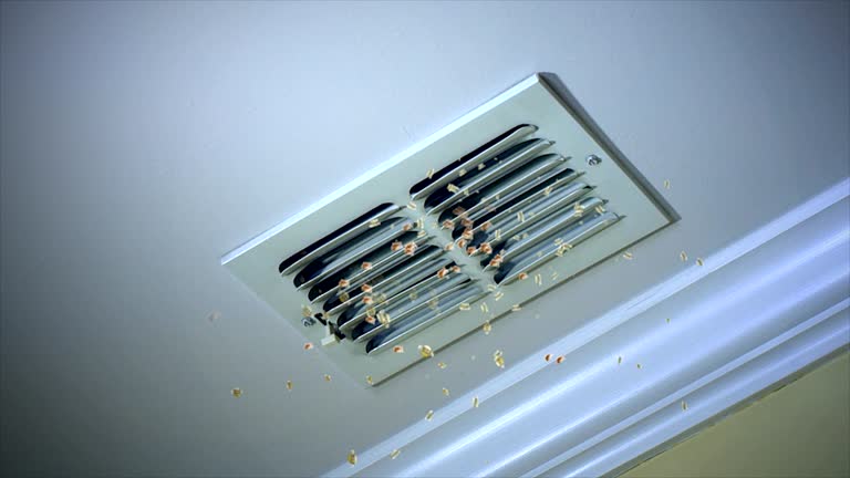 Best Commercial Air Duct Cleaning  in Antelope, CA